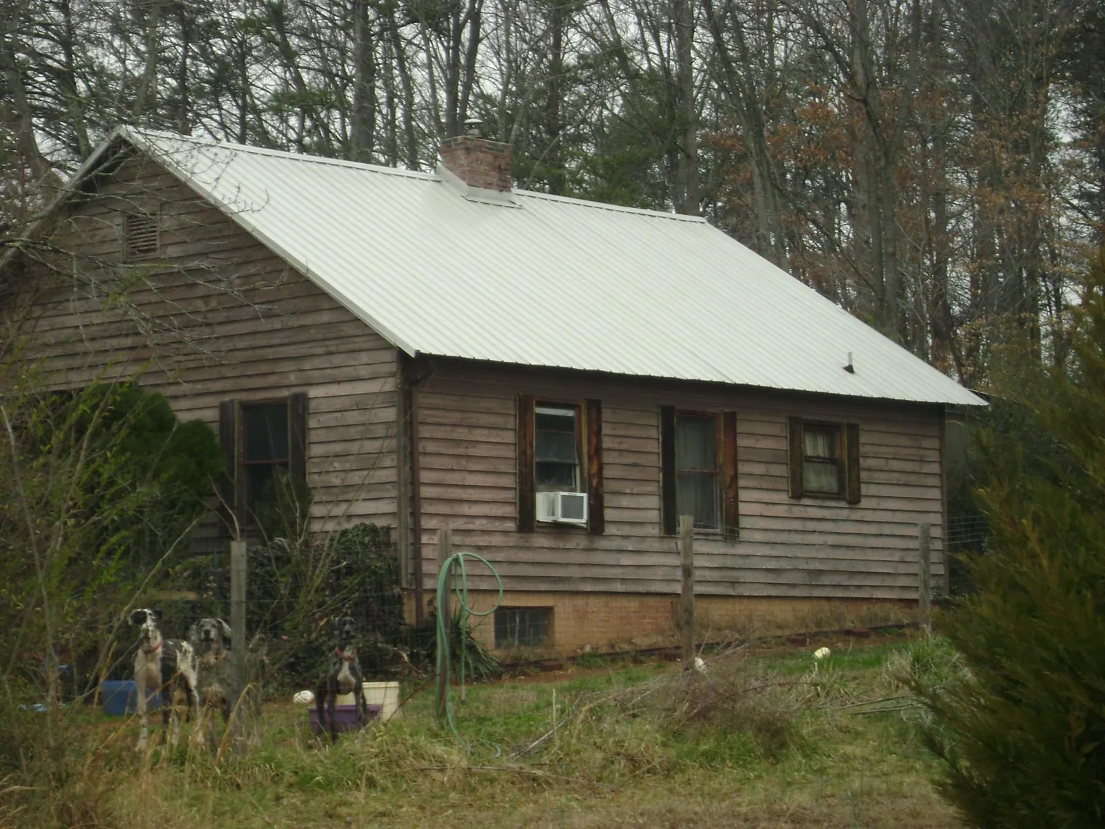 White metal roof on an old wood sided farmhouse, from a Asphalt Shingle Roof Repair job in Ava